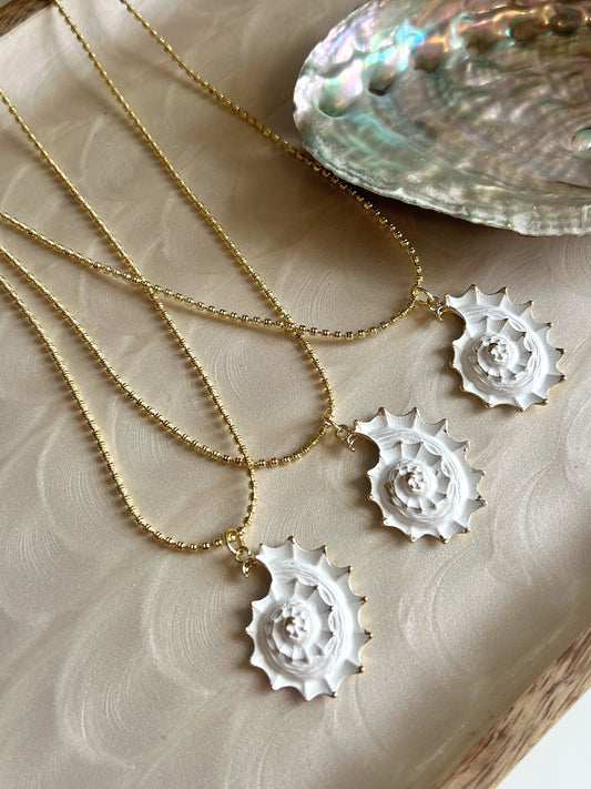 Carola Chain