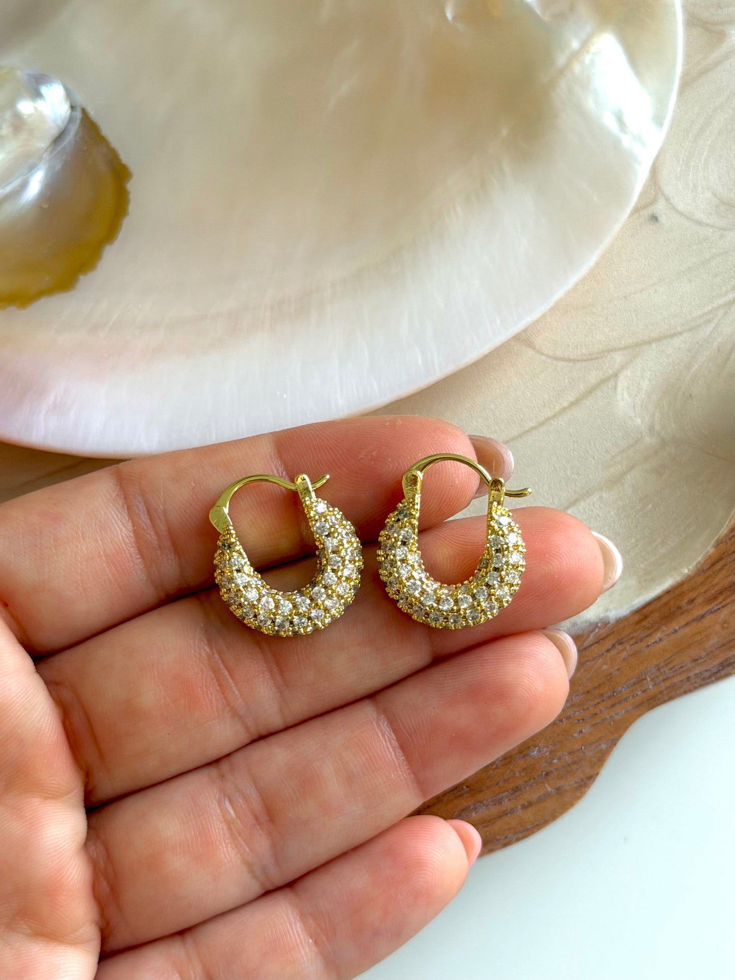 Zirconia Hoops Earrings