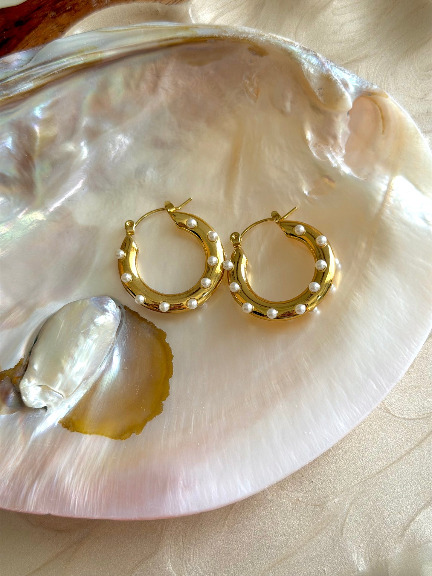 Pearly Hoops Earrings