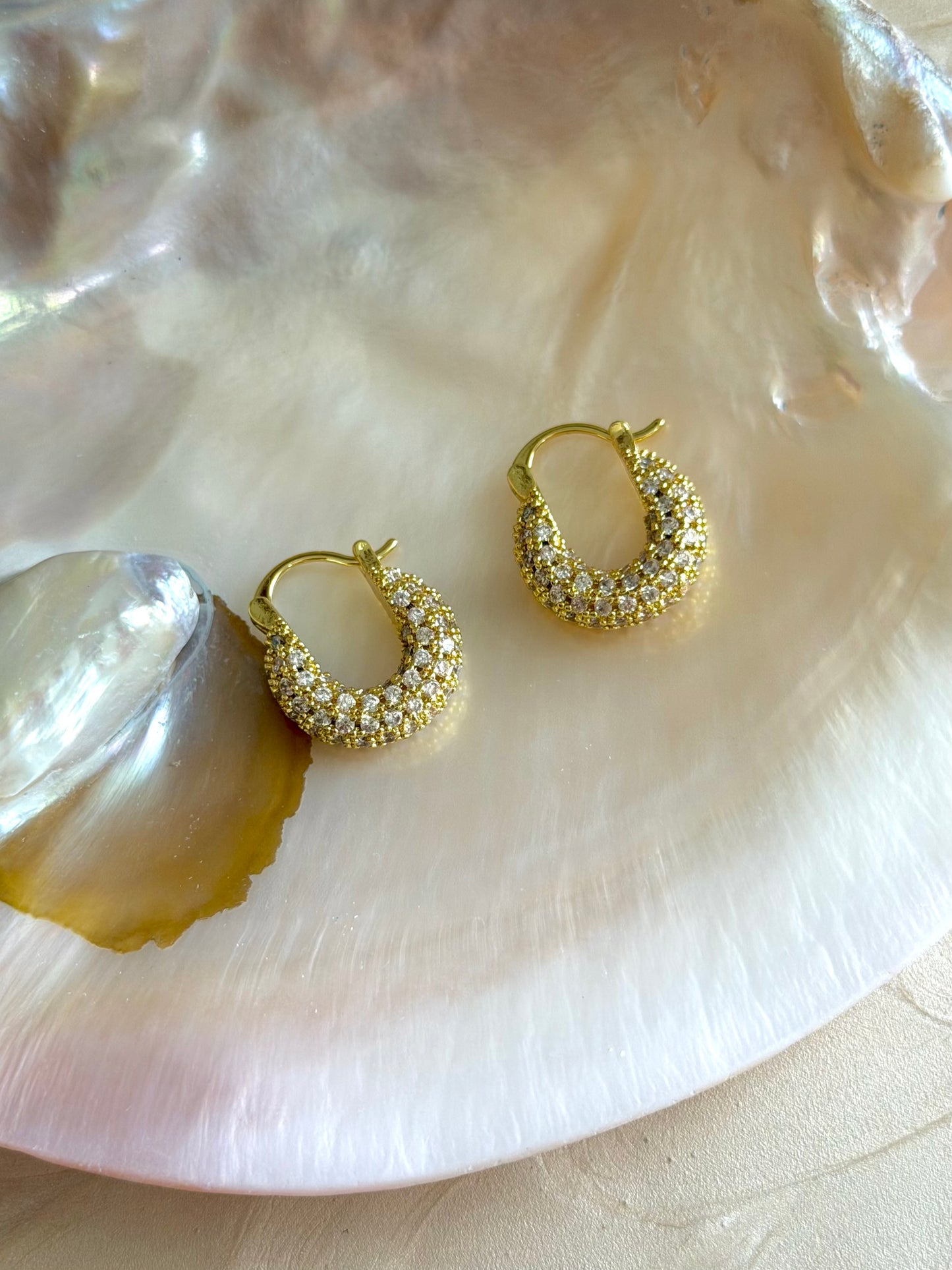 Zirconia Hoops Earrings